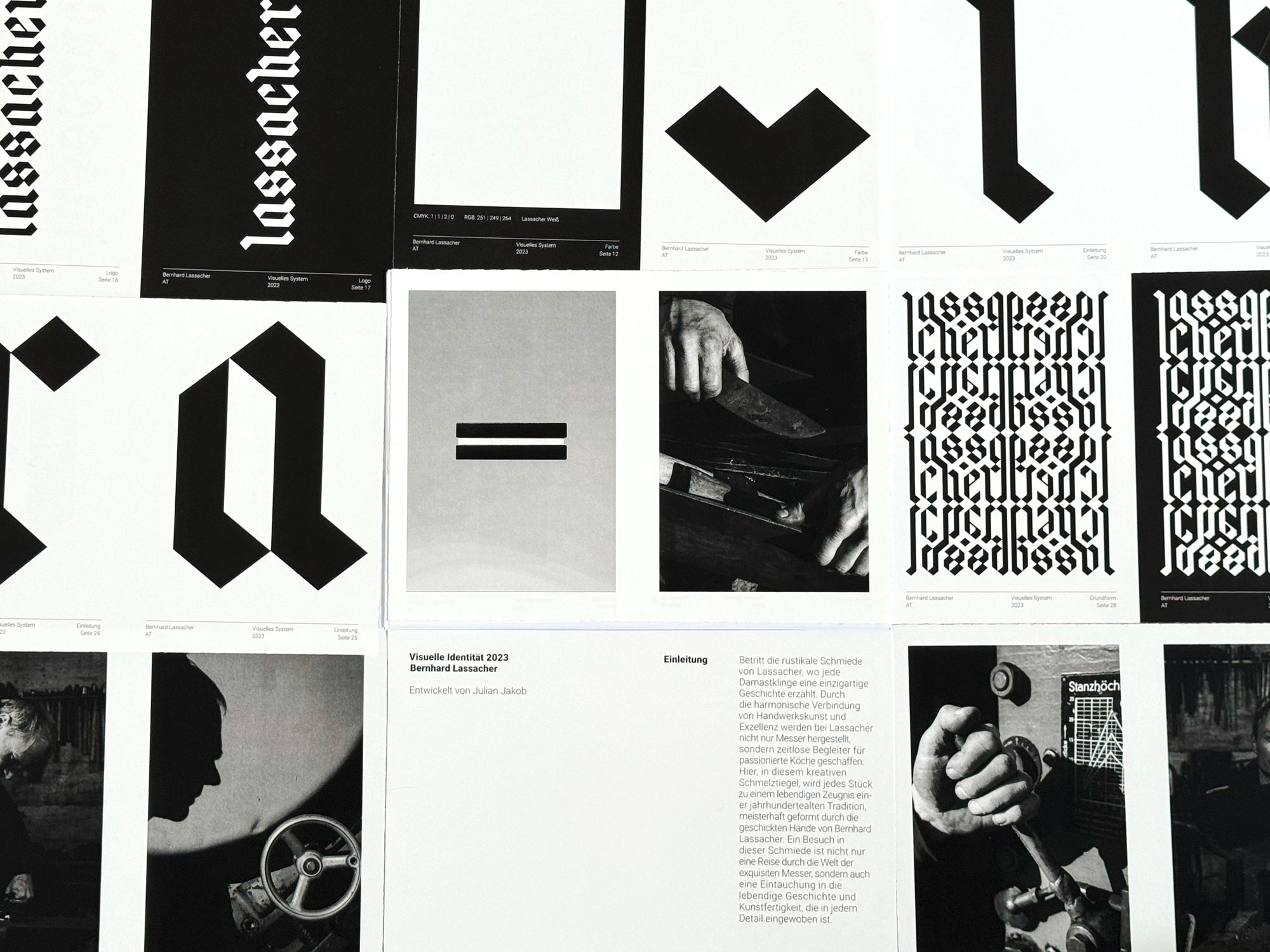 Lassacher-Project-Picture